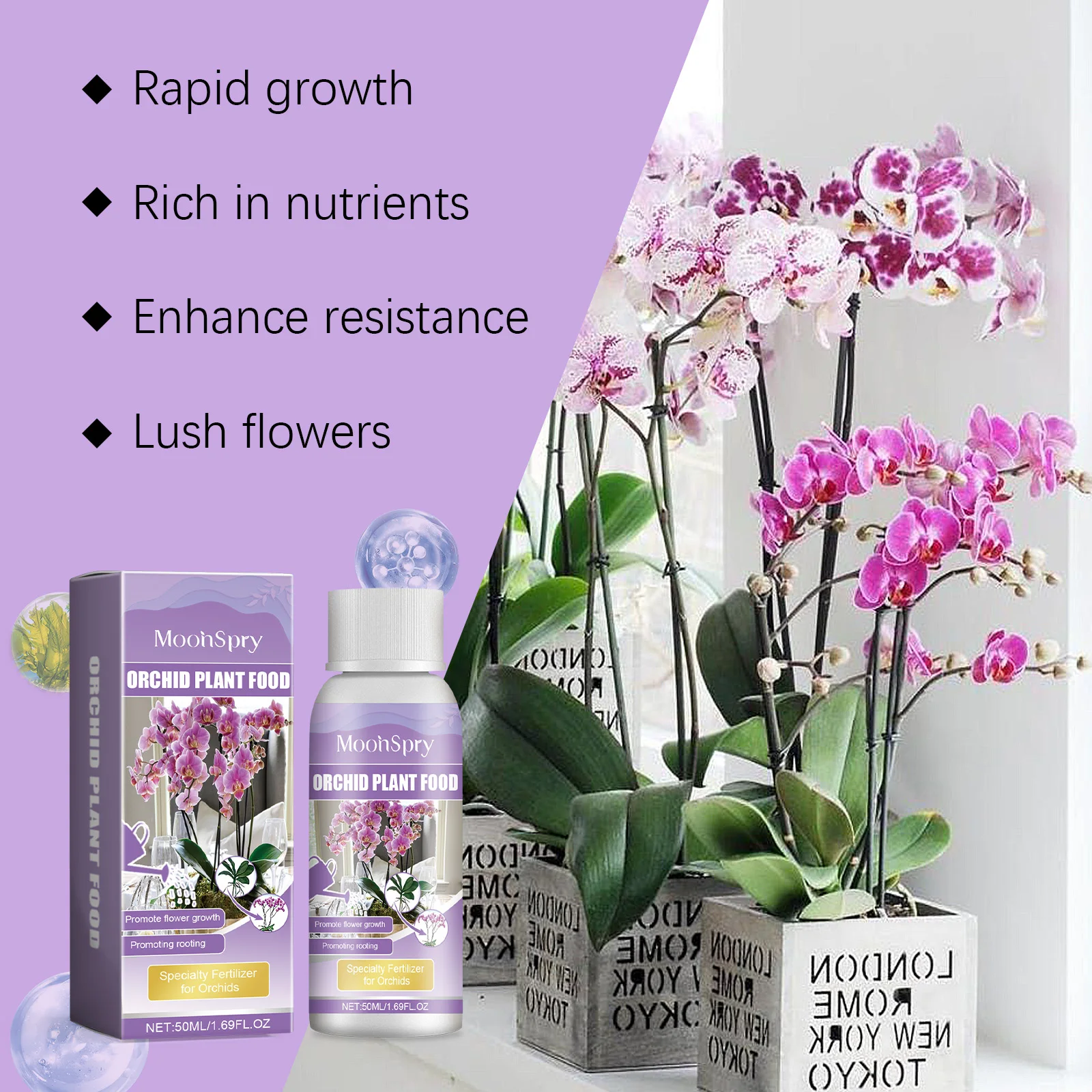 Plant Pot - Orchid Plant Growth Agent - Flower