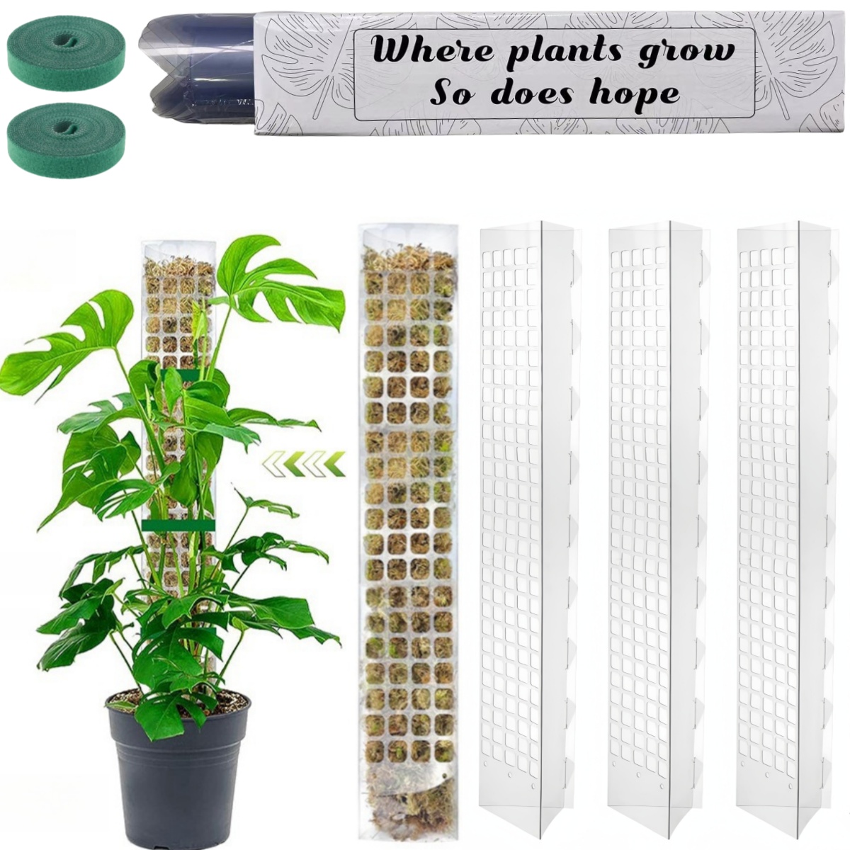 Indoor Herb Garden - Moss Pole Plastic Plant Stand Indoor