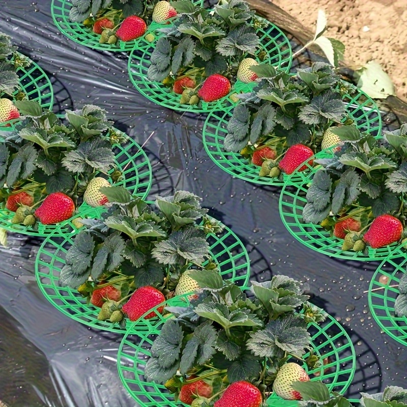 Indoor Herb Garden - 20-Piece Heavy-Duty Strawberry Planting Rack—Three-Layer Stable