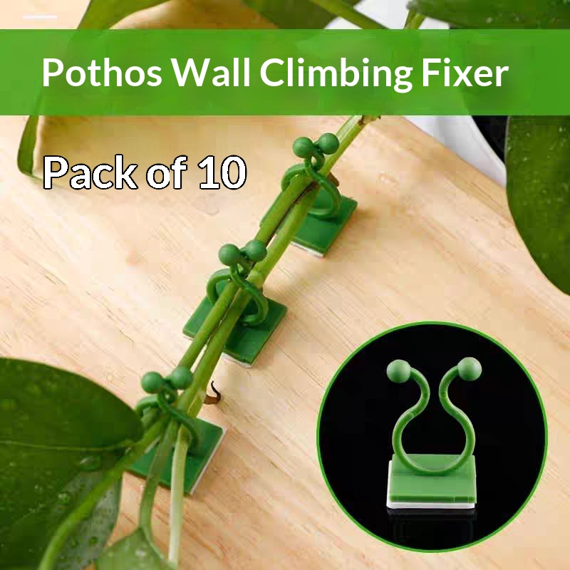 Indoor Herb Garden - Self‑Adhesive Plant Climbing Wall Fixture Clips