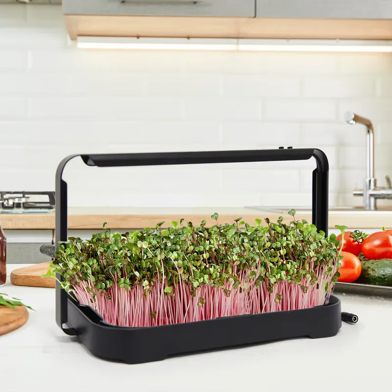 Hydroponic Kit - Hydroponic Tray Indoor Microgreen Microgreen Seeds
