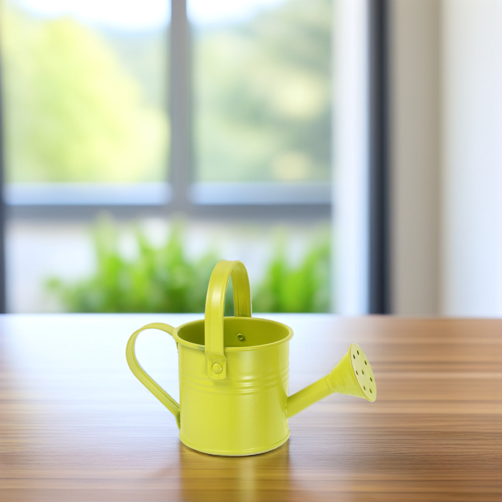 Watering Can - Small Galvanized Tin Watering Can Mini