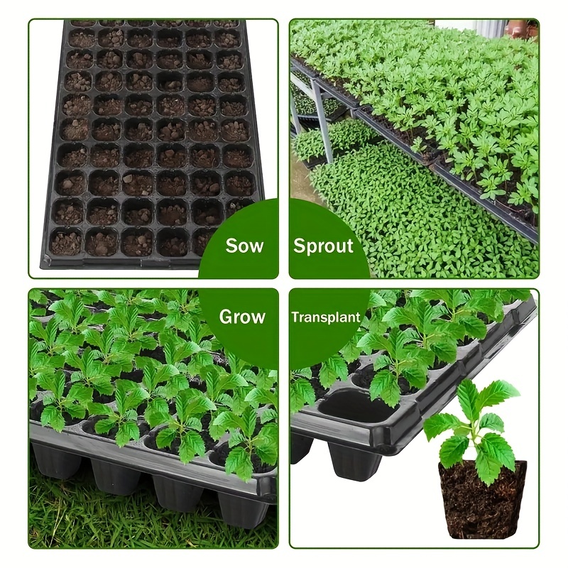 10, nursery tray, greenhouse g - Seed Starter Tray 评论和价格