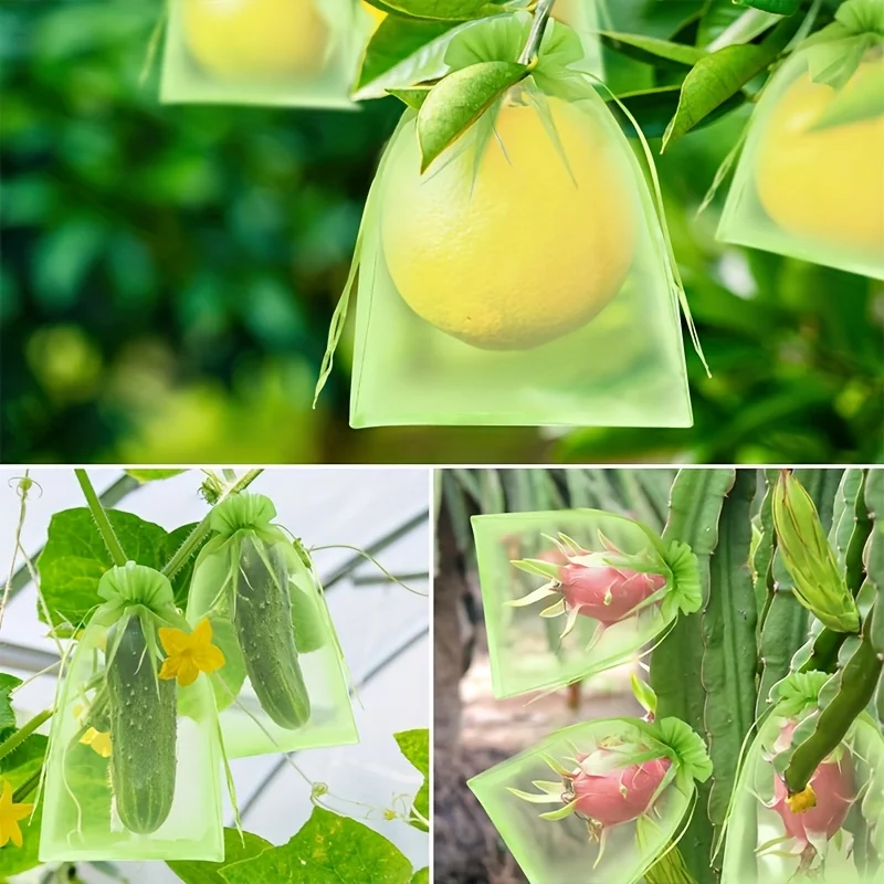 100Pcs Green Protective Bag wi - Grow Bag 评论和价格