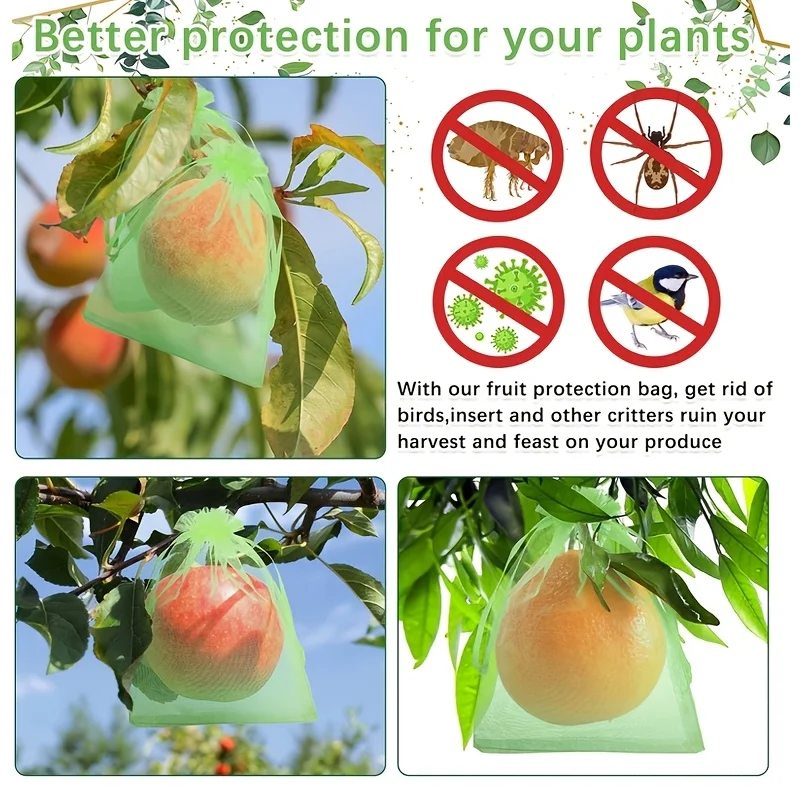 100Pcs Green Protective Bag wi - Grow Bag 评论和价格
