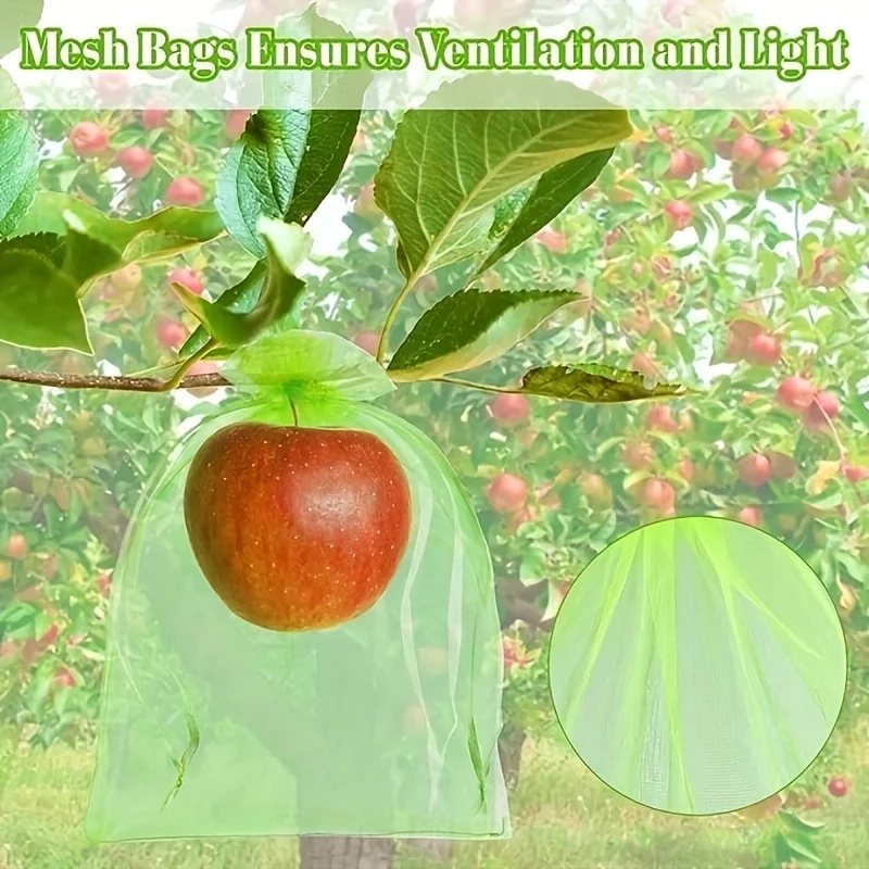 100Pcs Green Protective Bag wi - Grow Bag 评论和价格