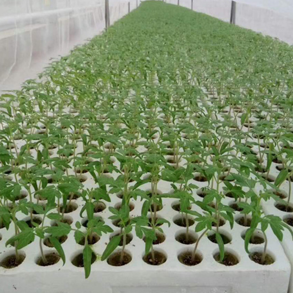 40Pcs Grow Soilless Culture Hy - Hydroponic Kit 评论和价格