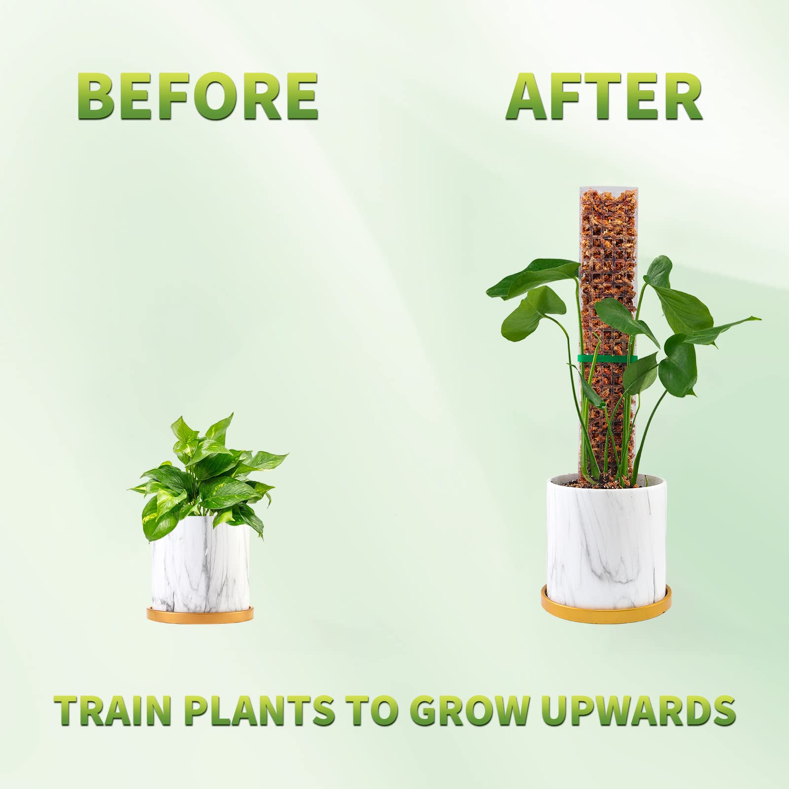 Moss Poles Plants Plant Suppor - Indoor Herb Garden 评论和价格