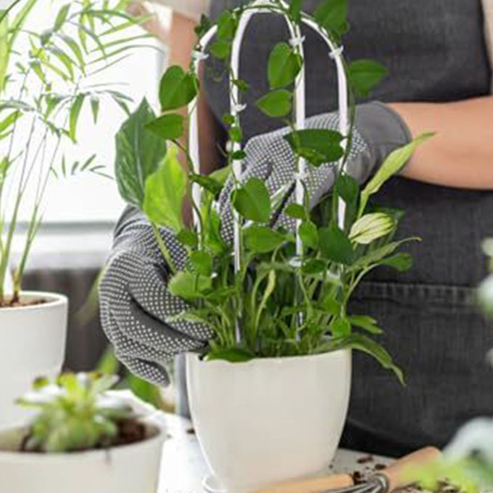 2pcs Acrylic U-shaped Plant Ra - Indoor Herb Garden 评论和价格