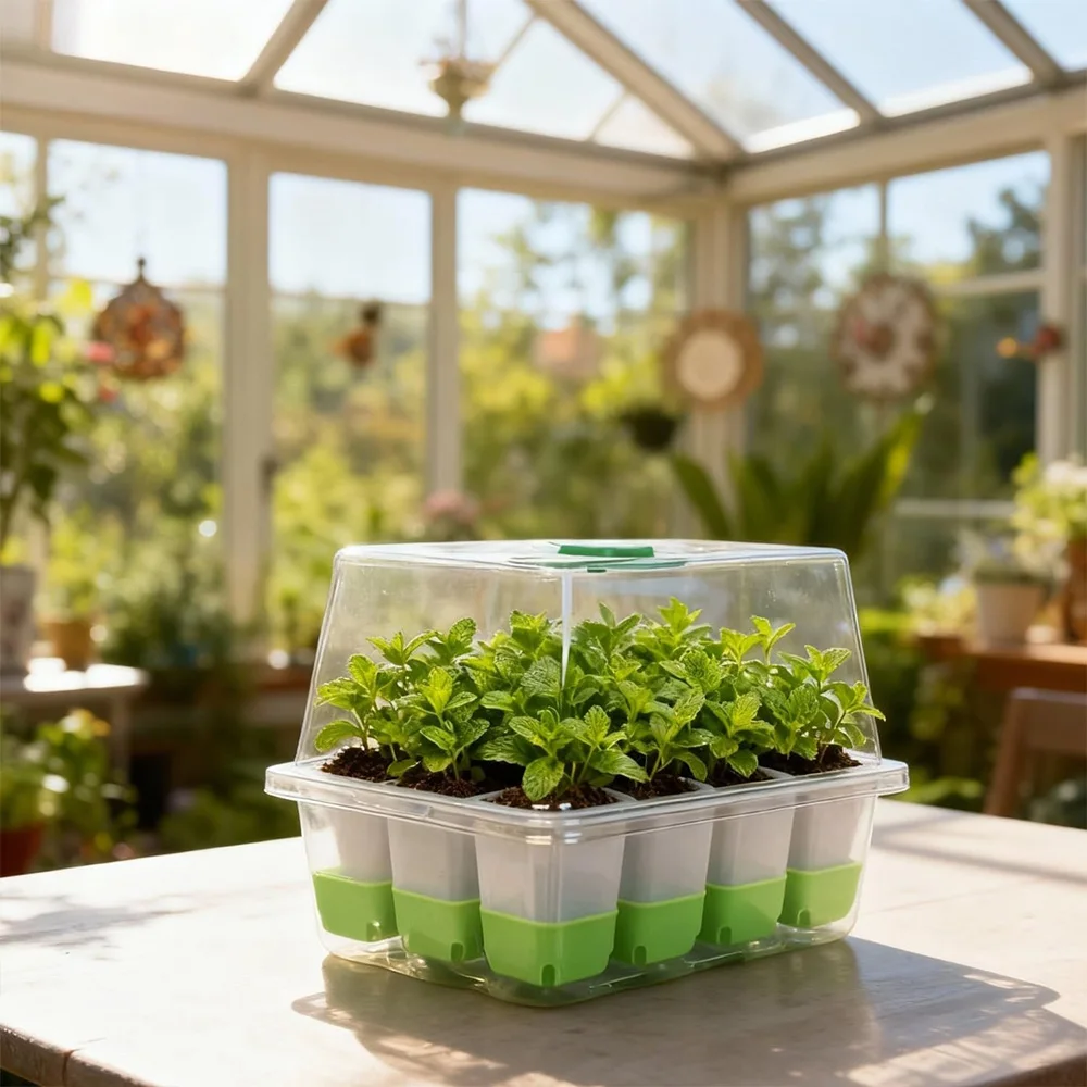 12 cell Seedling Starter Tray  - Seed Starter Tray 评论和价格