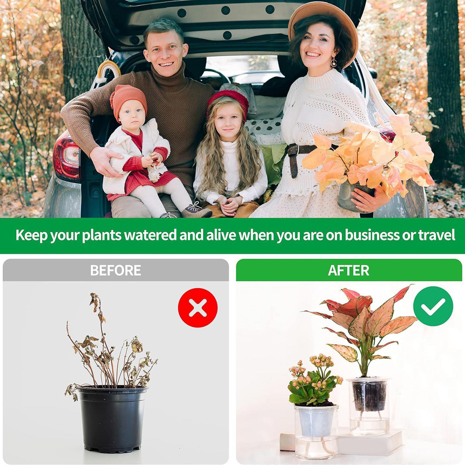 Plant Wicks For Self Watering  - Self Watering Planter 评论和价格