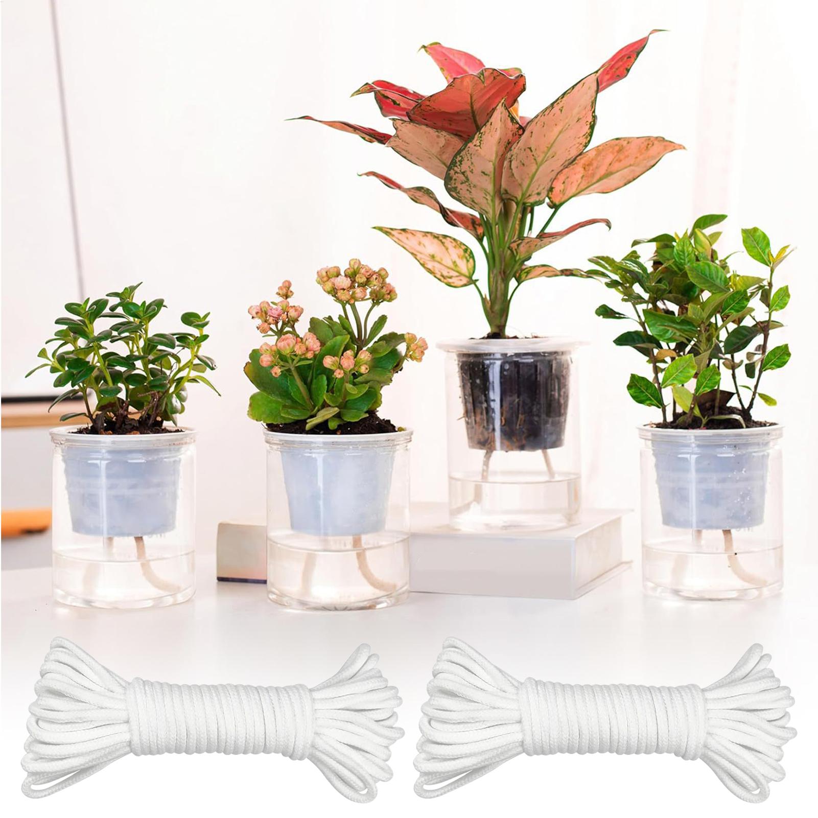 Plant Wicks For Self Watering  - Self Watering Planter 评论和价格
