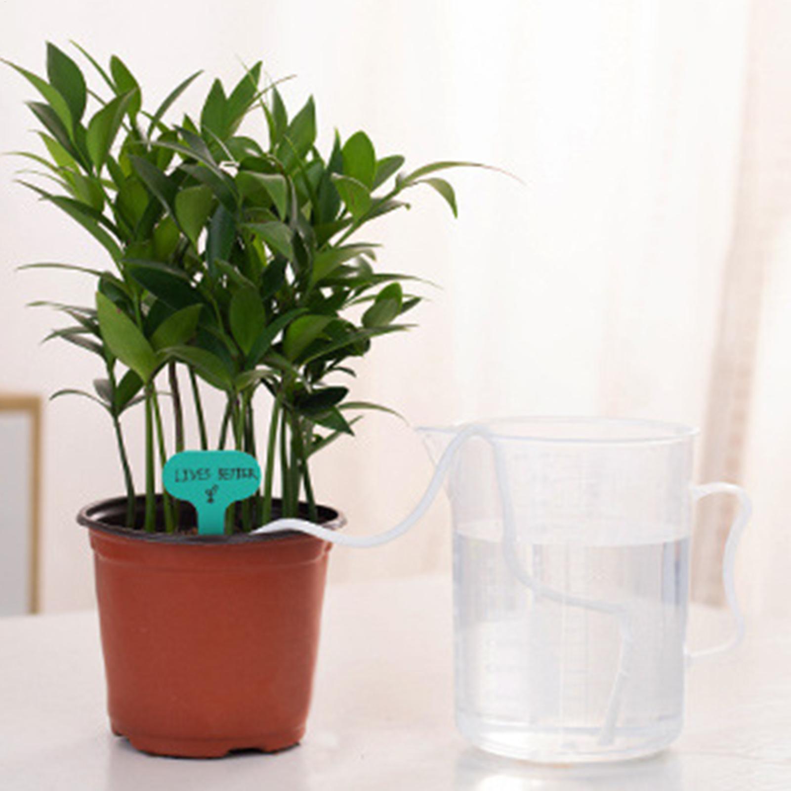 Plant Wicks For Self Watering  - Self Watering Planter 评论和价格