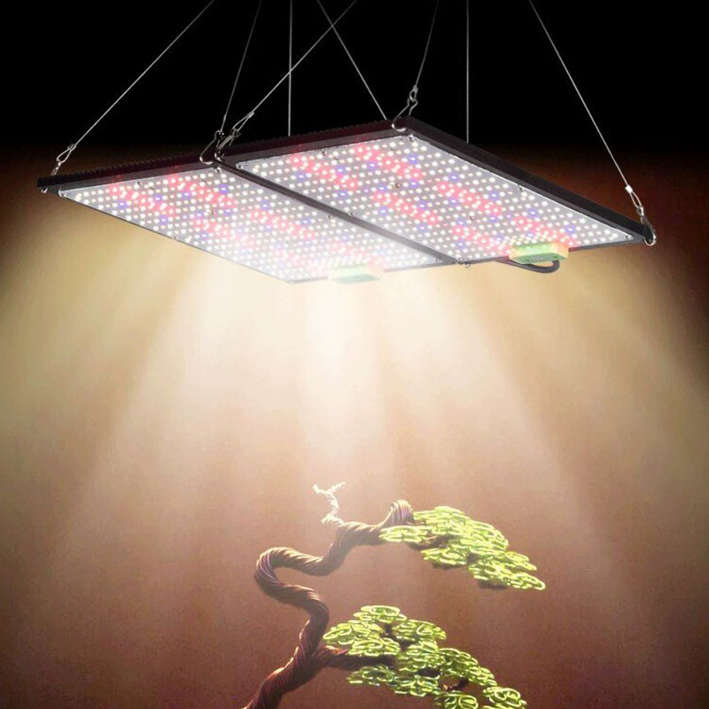 LED Quantum‑Board Grow Light F - Grow Light Led 评论和价格