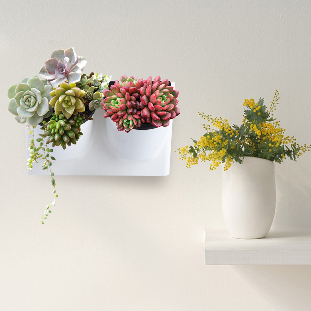 Self Watering Flower Pot Plast - Self Watering Planter 评论和价格