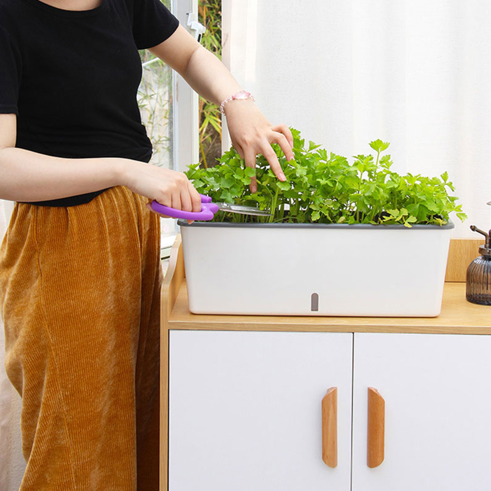 Self-Watering Planter Pots wit - Vertical Planter 评论和价格