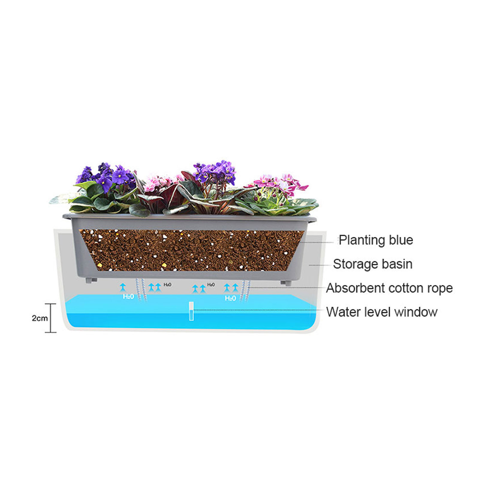 Self-Watering Planter Pots wit - Vertical Planter 评论和价格