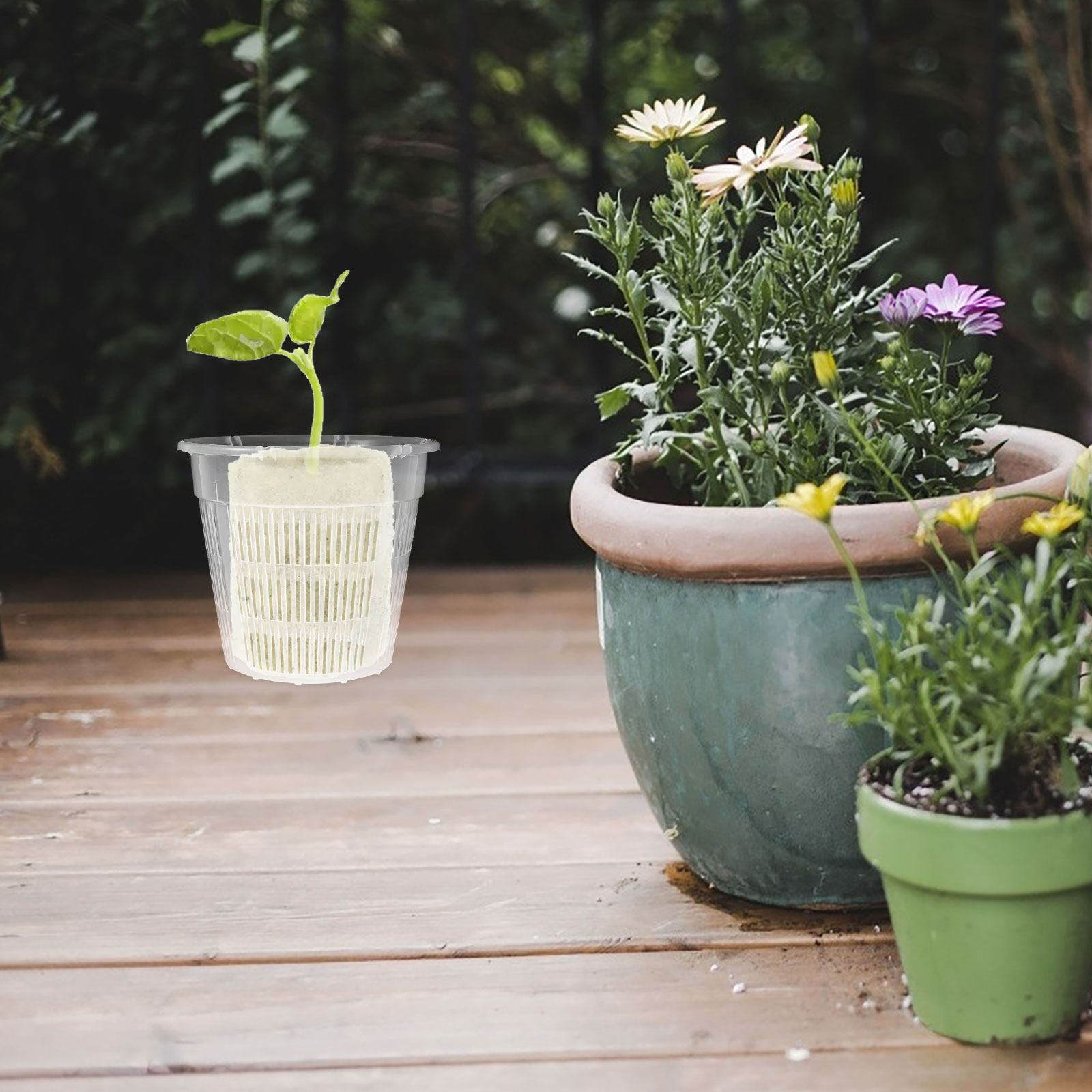 4Pcs Hydroponic Plant Basket R - Plant Pot 评论和价格