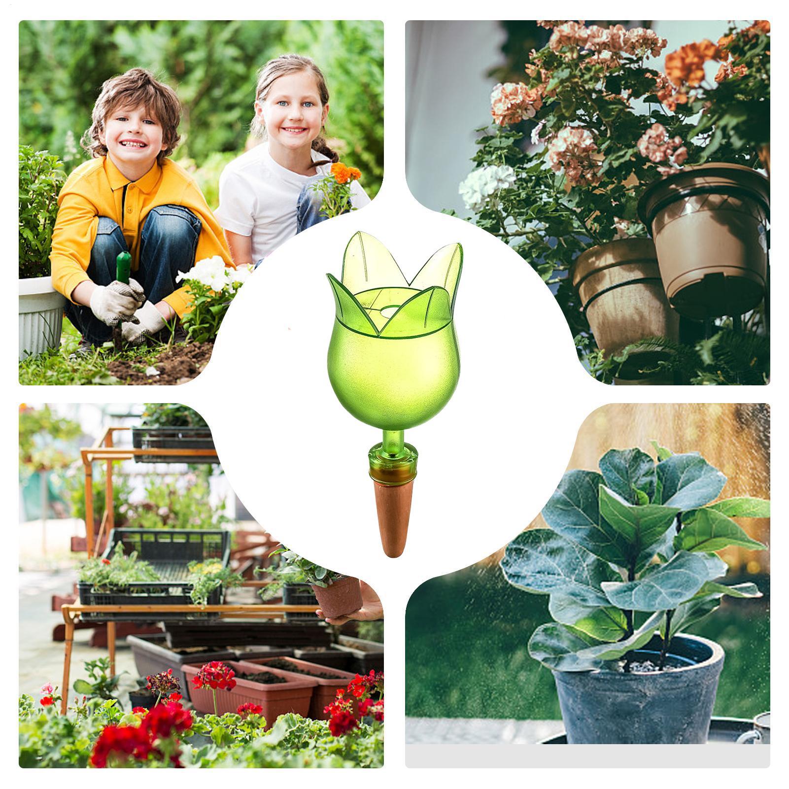 Plant Self Watering Devices Pl - Self Watering Planter 评论和价格