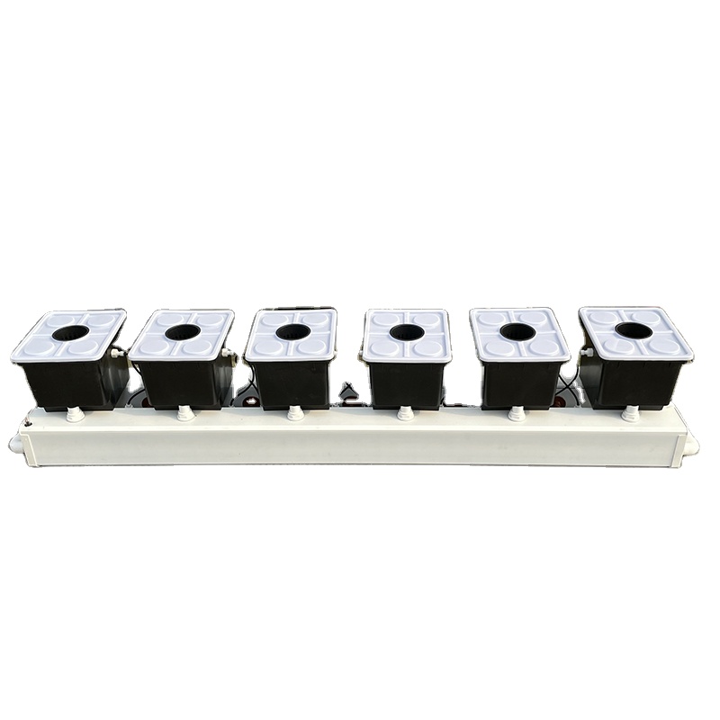 Dutch Bucket Hydroponic System - Hydroponic Kit 评论和价格