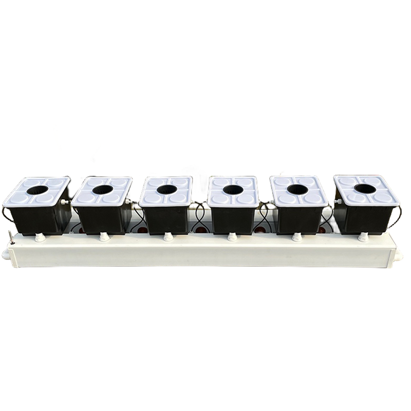 Dutch Bucket Hydroponic System - Hydroponic Kit 评论和价格