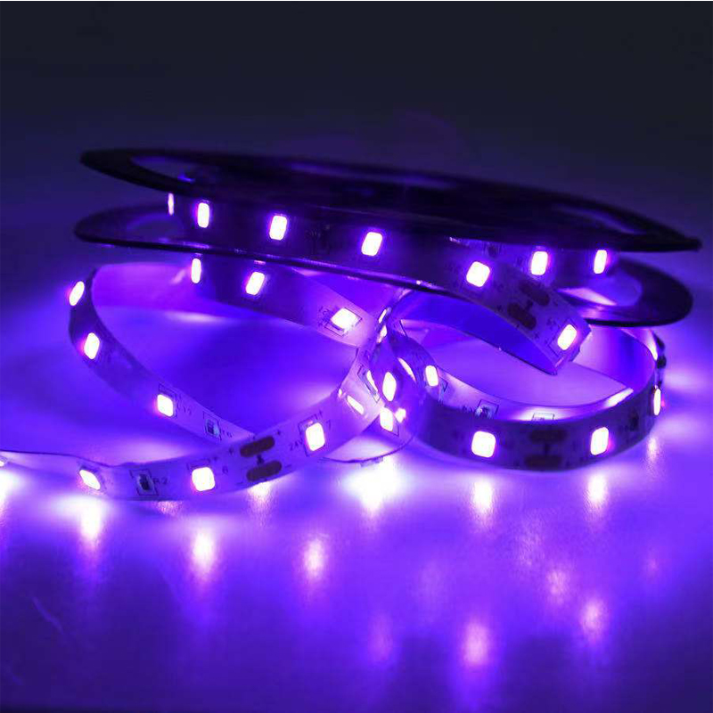 UV LED Ultraviolet Light, Blac - Grow Light Led 评论和价格