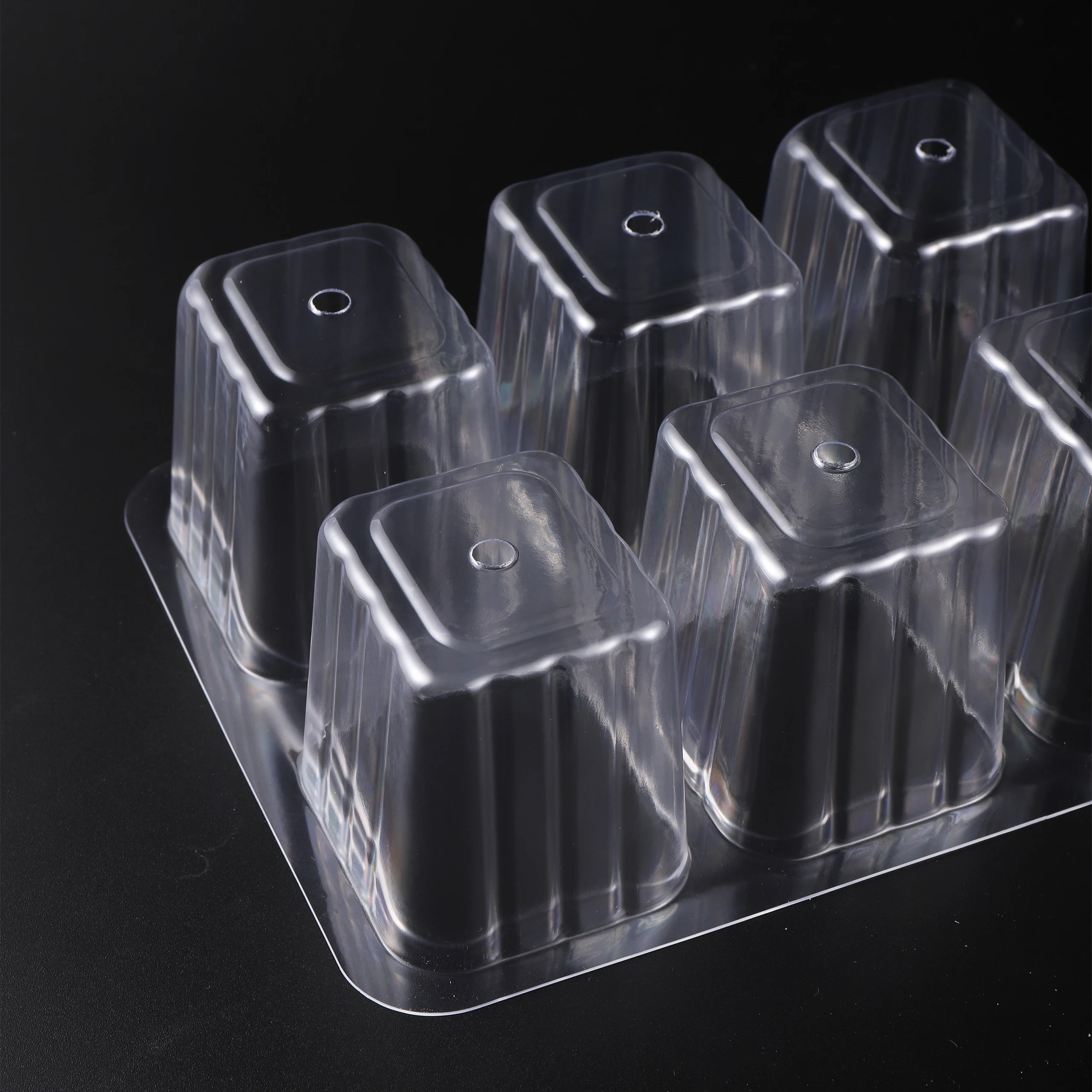 5 Pack/Set Seed Starter Tray P - Seed Starter Tray 评论和价格