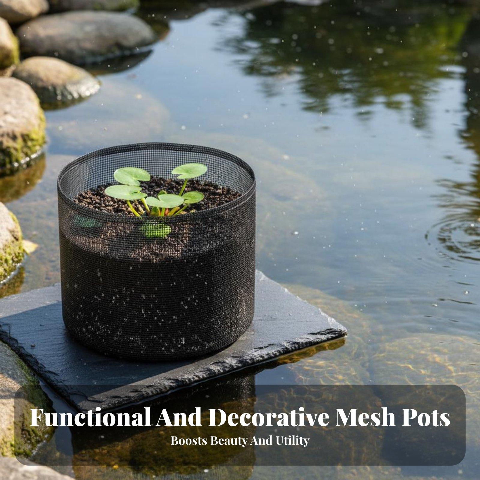 4 Piece Water Lily Planting Po - Plant Pot 评论和价格