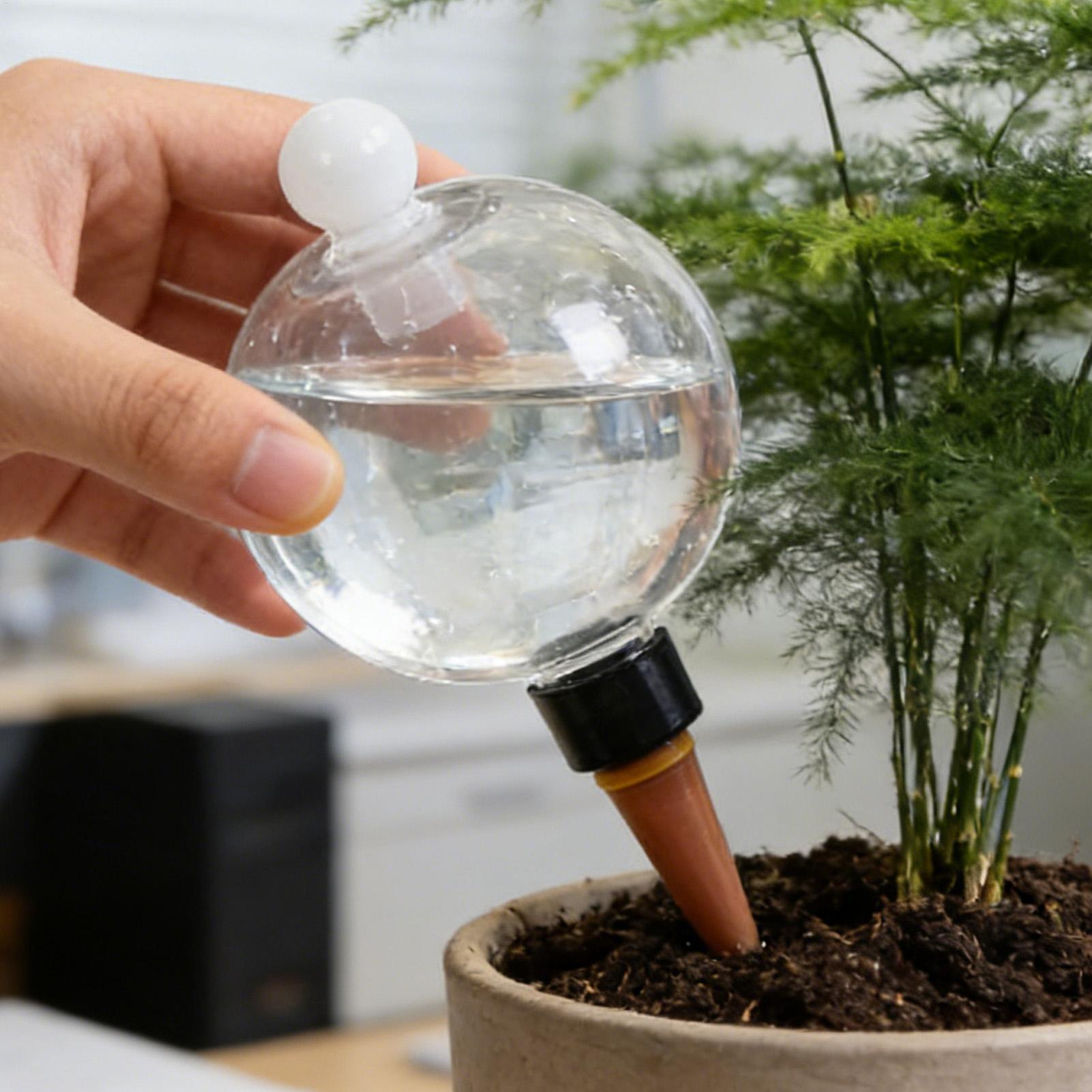 Plant Watering Bulbs 4pcs 500m - Self Watering Planter 评论和价格