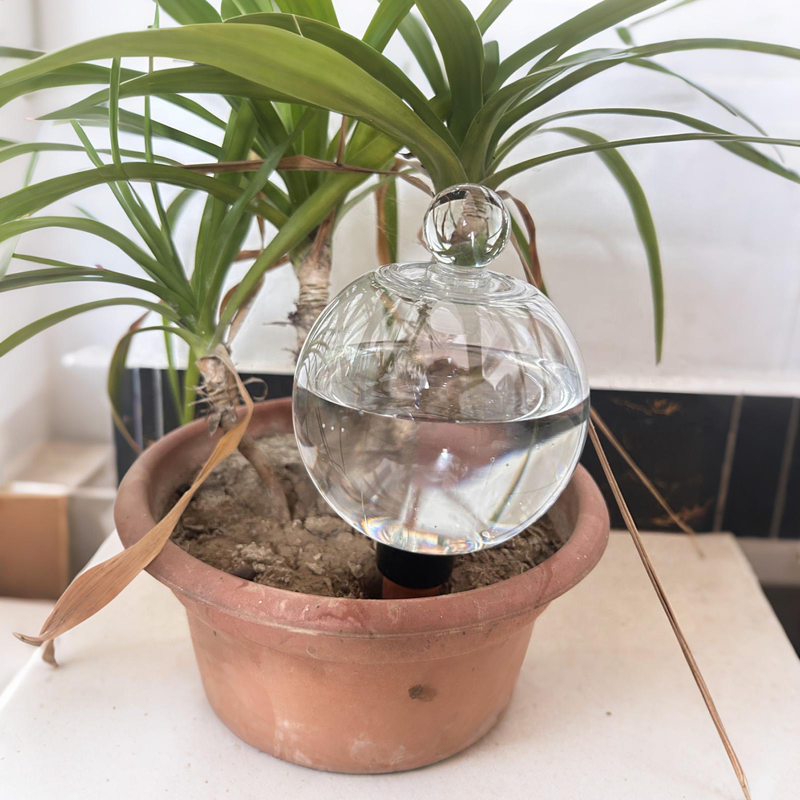 Plant Watering Bulbs 4pcs 500m - Self Watering Planter 评论和价格