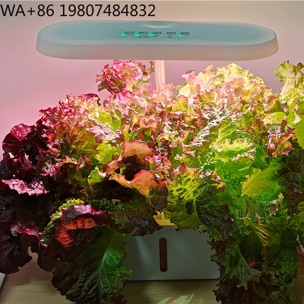 8 Hole Silent Circulation Soil - Hydroponic Kit 评论和价格