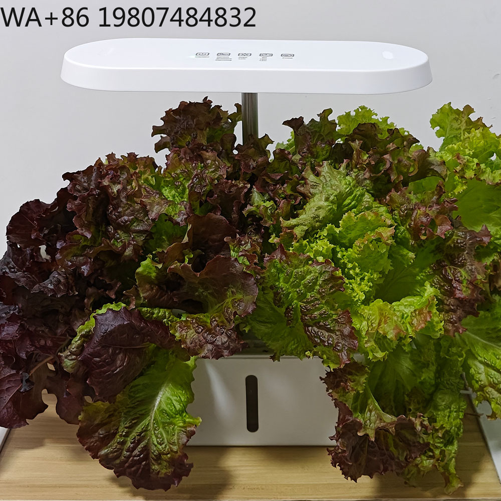 8 Hole Silent Circulation Soil - Hydroponic Kit 评论和价格