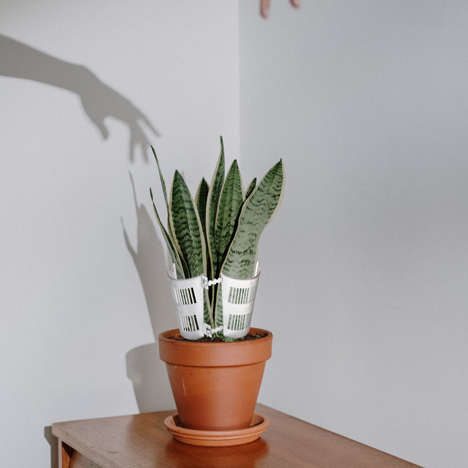 10Pcs Root Control Plant Pots  - Plant Pot 评论和价格