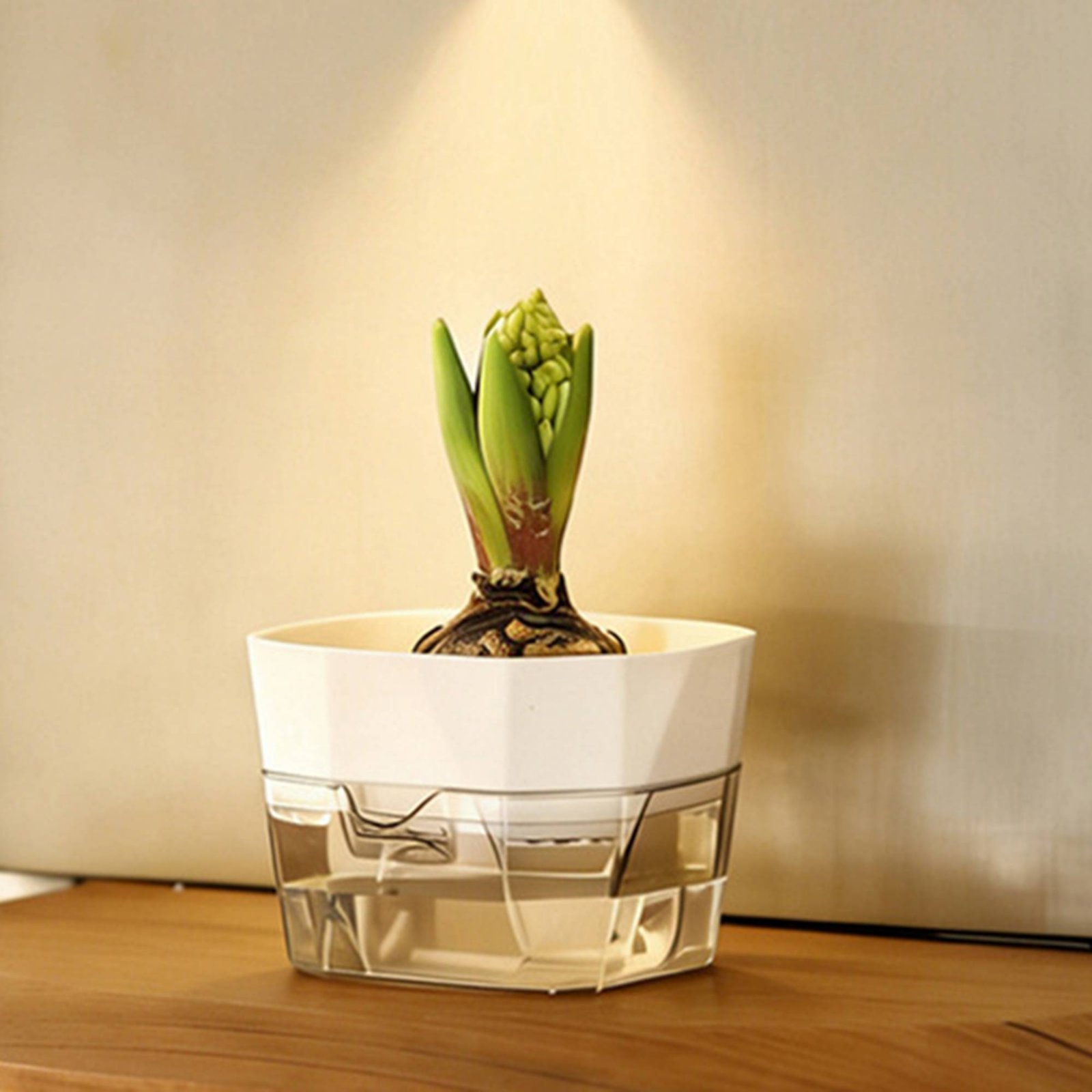 Hydroponic Bulb Vase 2-Tier De - Plant Pot 评论和价格