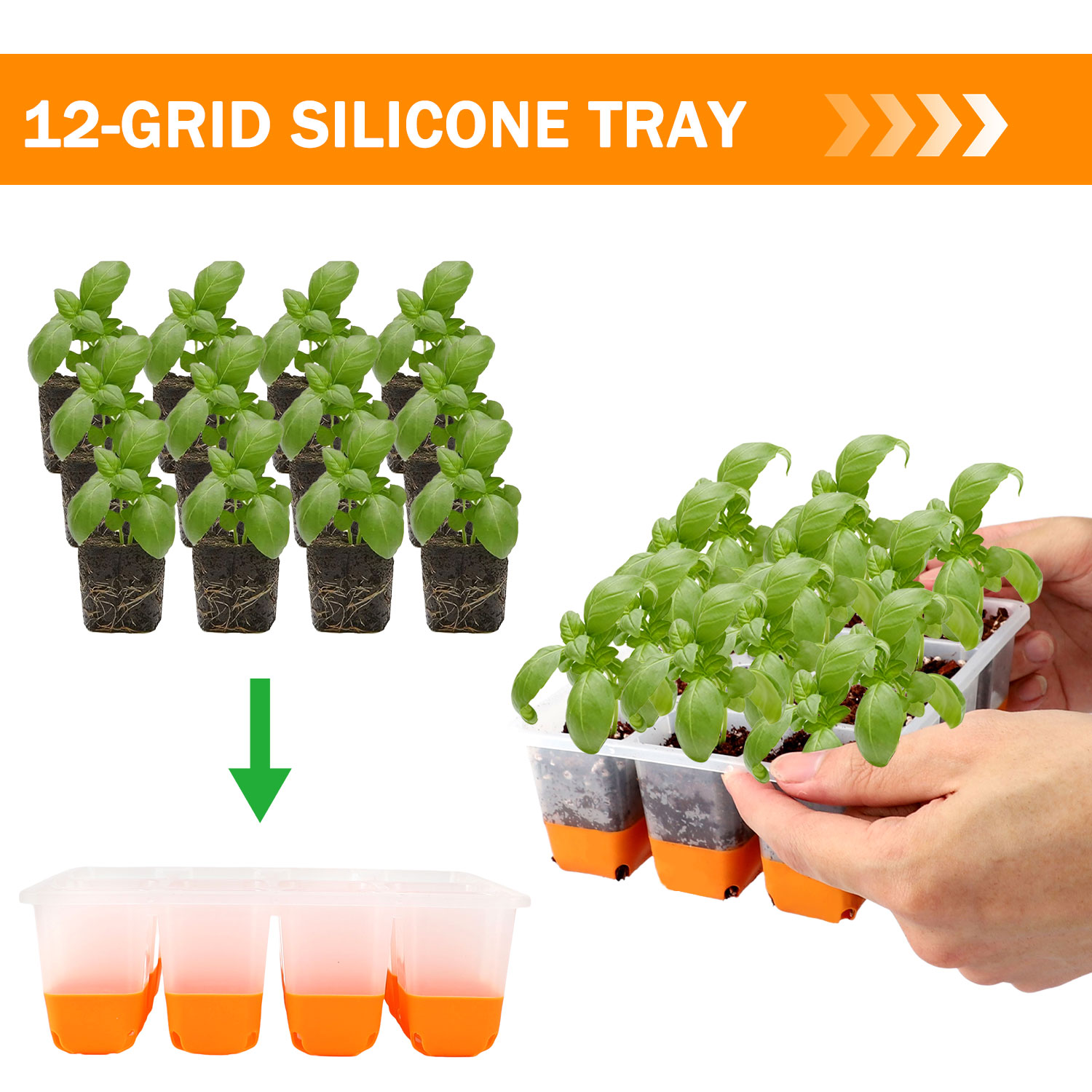 5/10 Orange Seed Starter Tray  - Seed Starter Tray 评论和价格