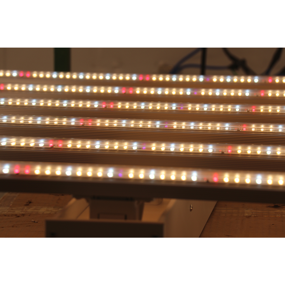 2023 Drop-shipping Factory Dir - Grow Light Led 评论和价格