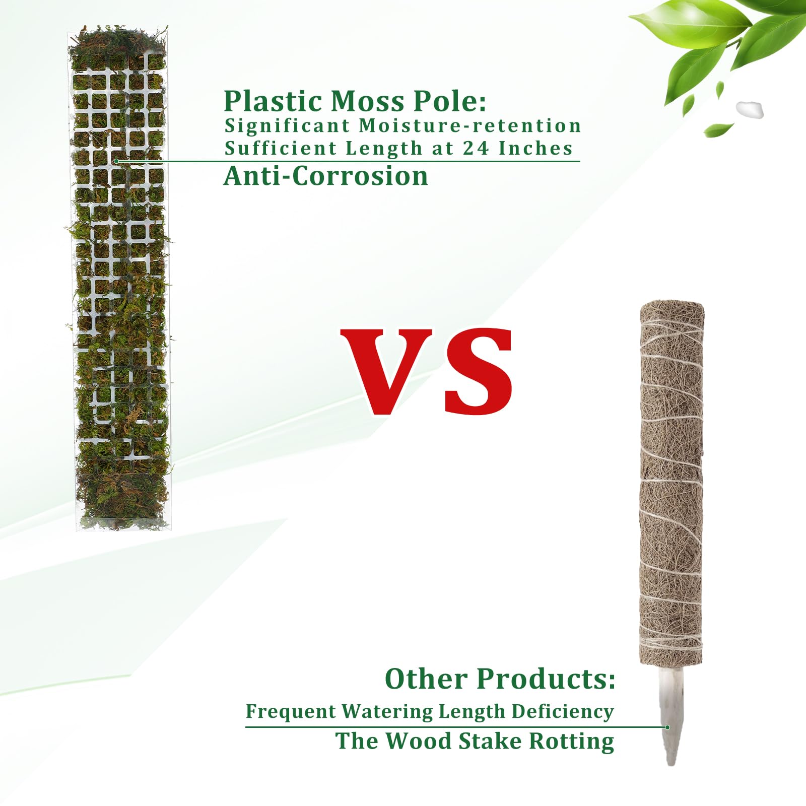 Moss Pole Plastic Plant Stand  - Indoor Herb Garden 评论和价格