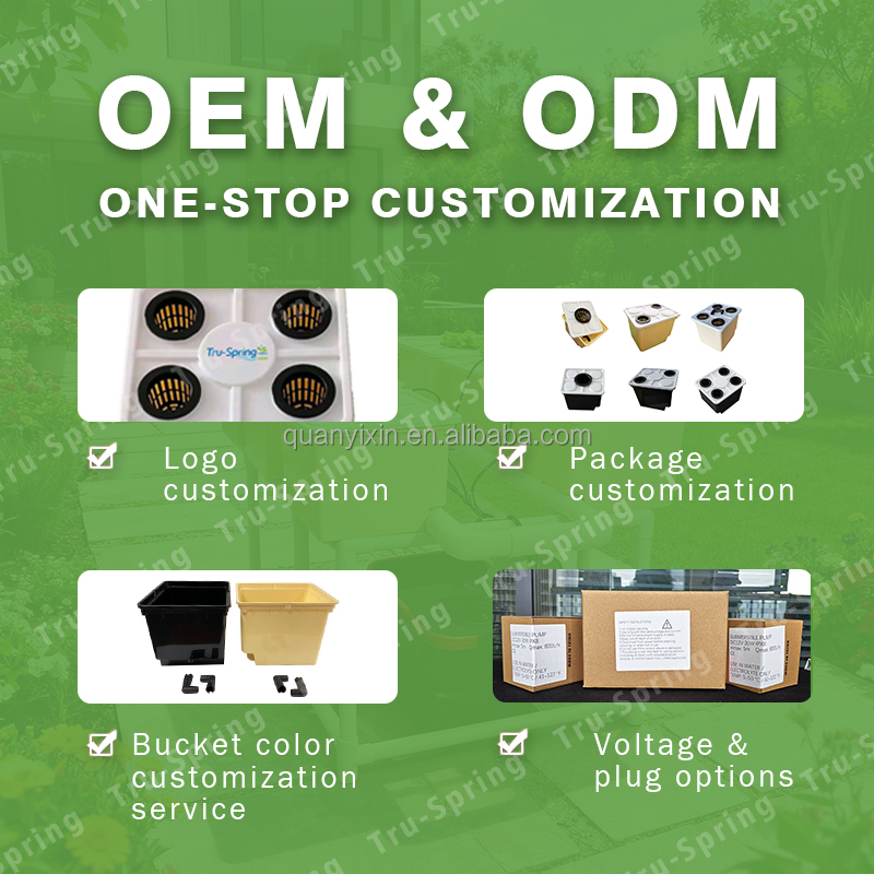 Dutch Bucket Hydroponic System - Hydroponic Kit 评论和价格