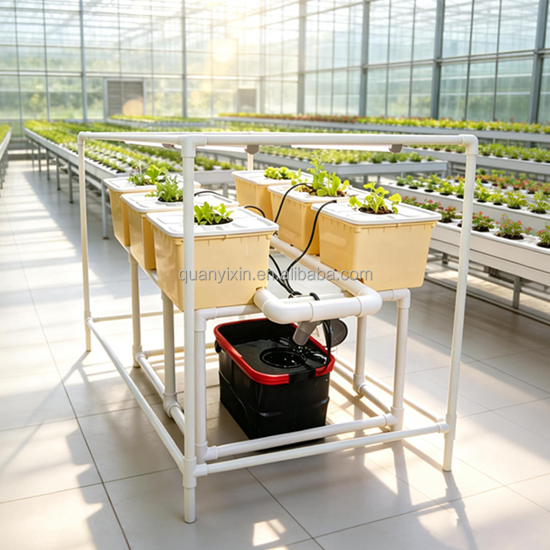 Dutch Bucket Hydroponic System - Hydroponic Kit 评论和价格