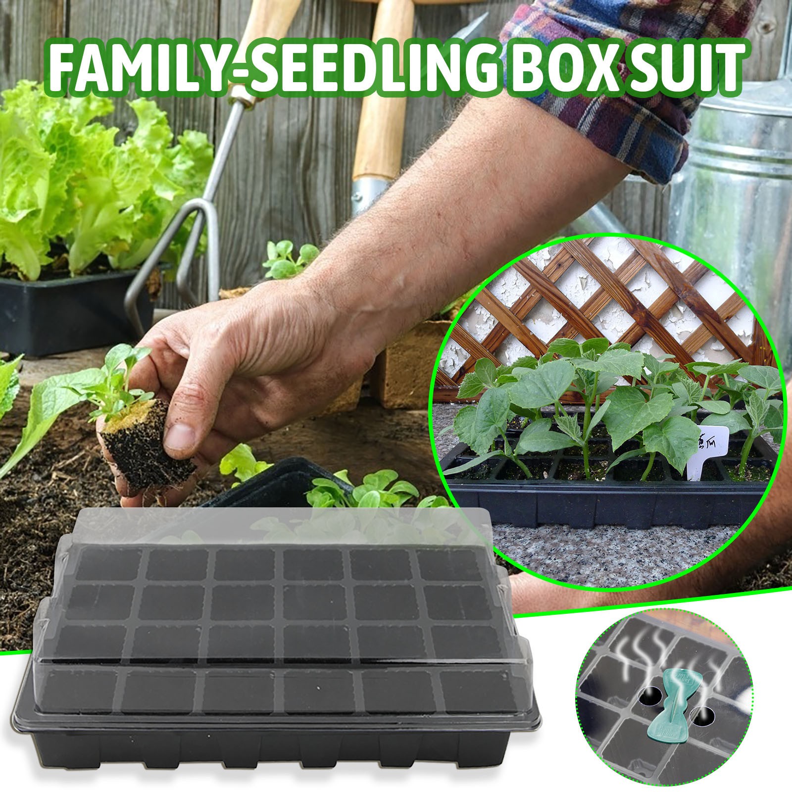 24 Cells Seedling Tray Germina - Seed Starter Tray 评论和价格