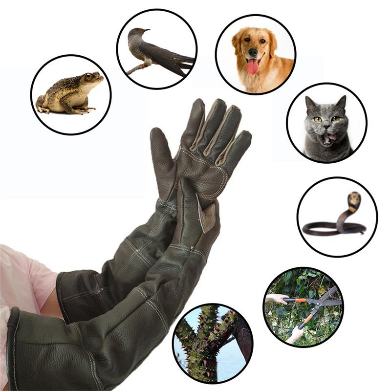 Pet Gloves Cowhide Leather Ant - Garden Gloves 评论和价格