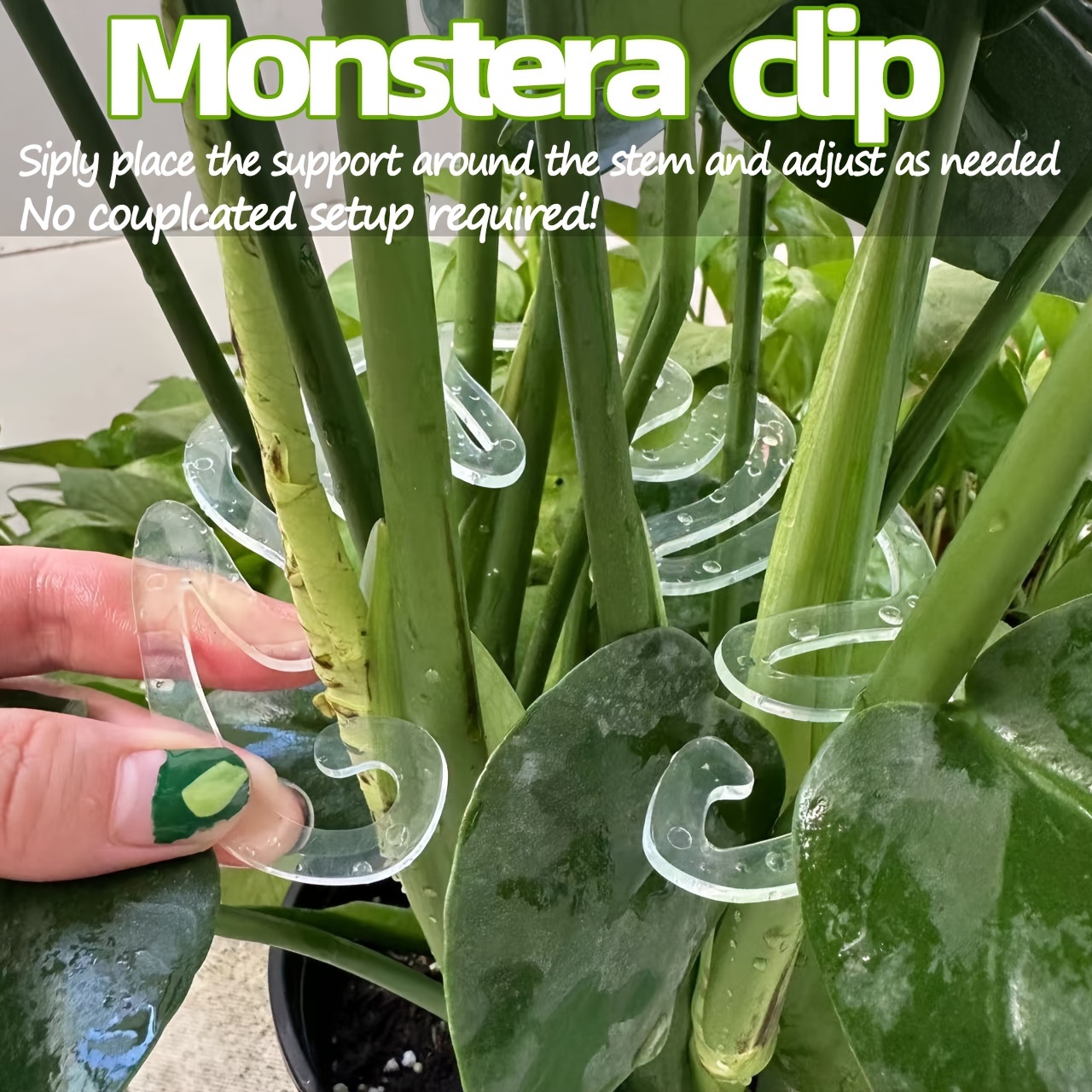 Flexible Plastic Monstera Plan - Vertical Planter 评论和价格