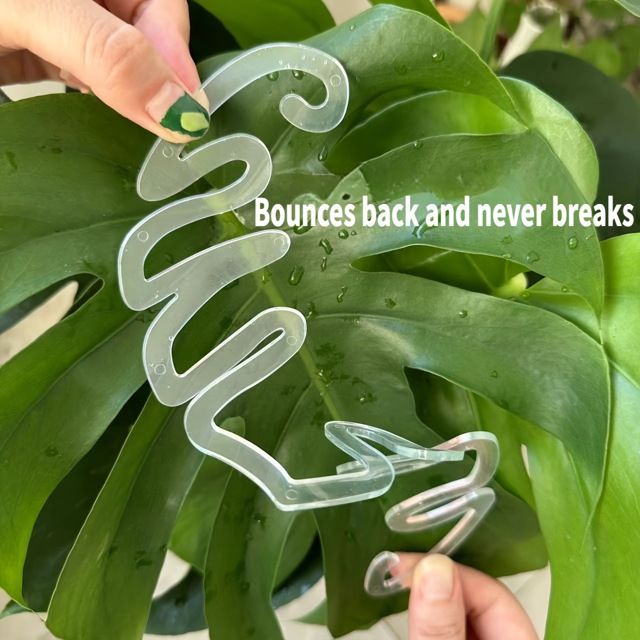 Flexible Plastic Monstera Plan - Vertical Planter 评论和价格