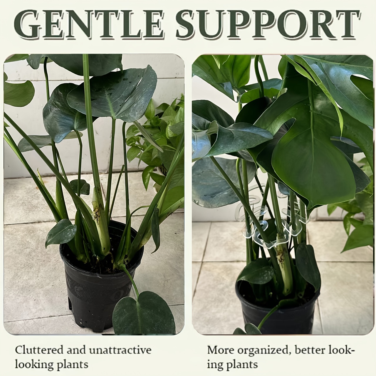 Flexible Plastic Monstera Plan - Vertical Planter 评论和价格