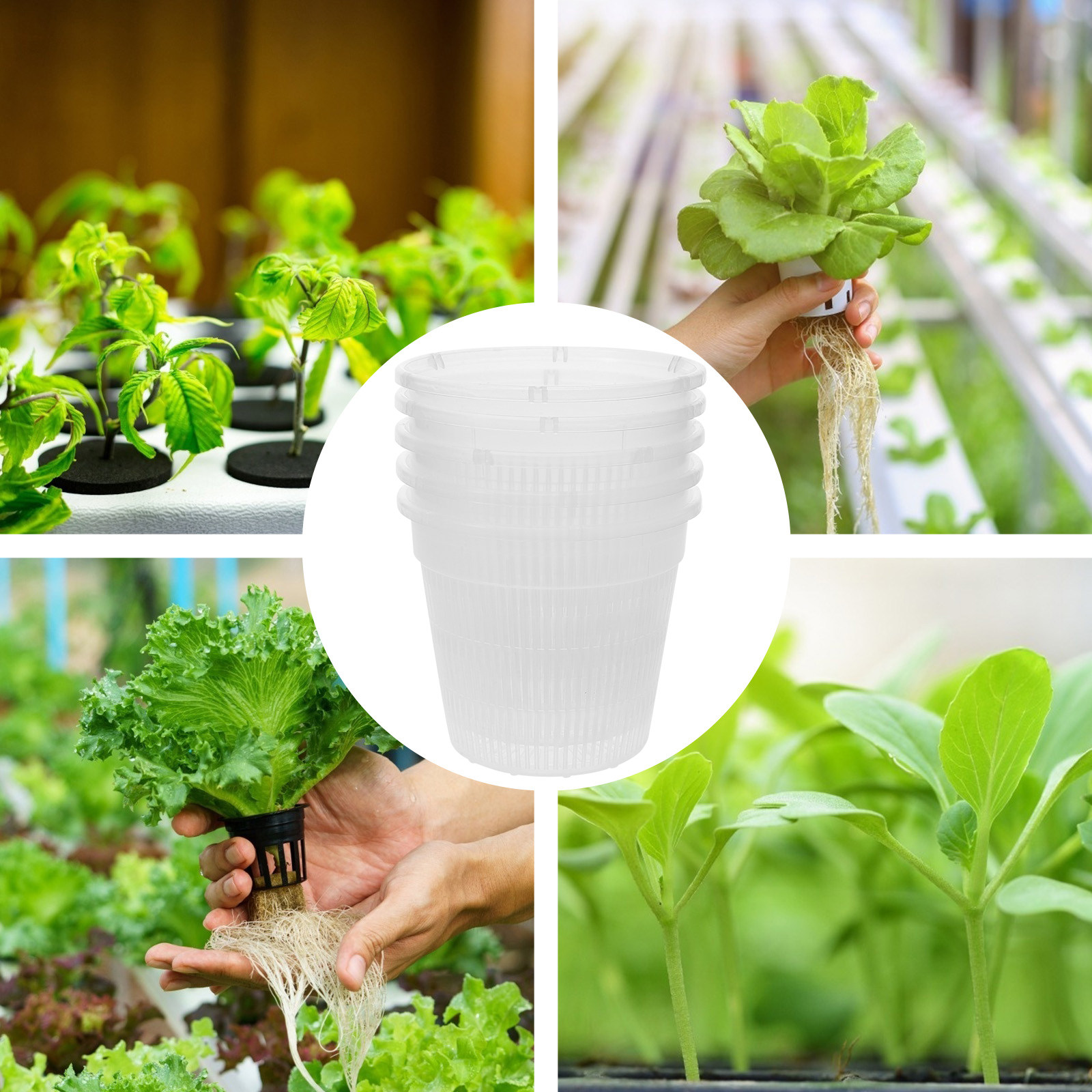 5Pcs Hydroponic Planting Net P - Plant Pot 评论和价格