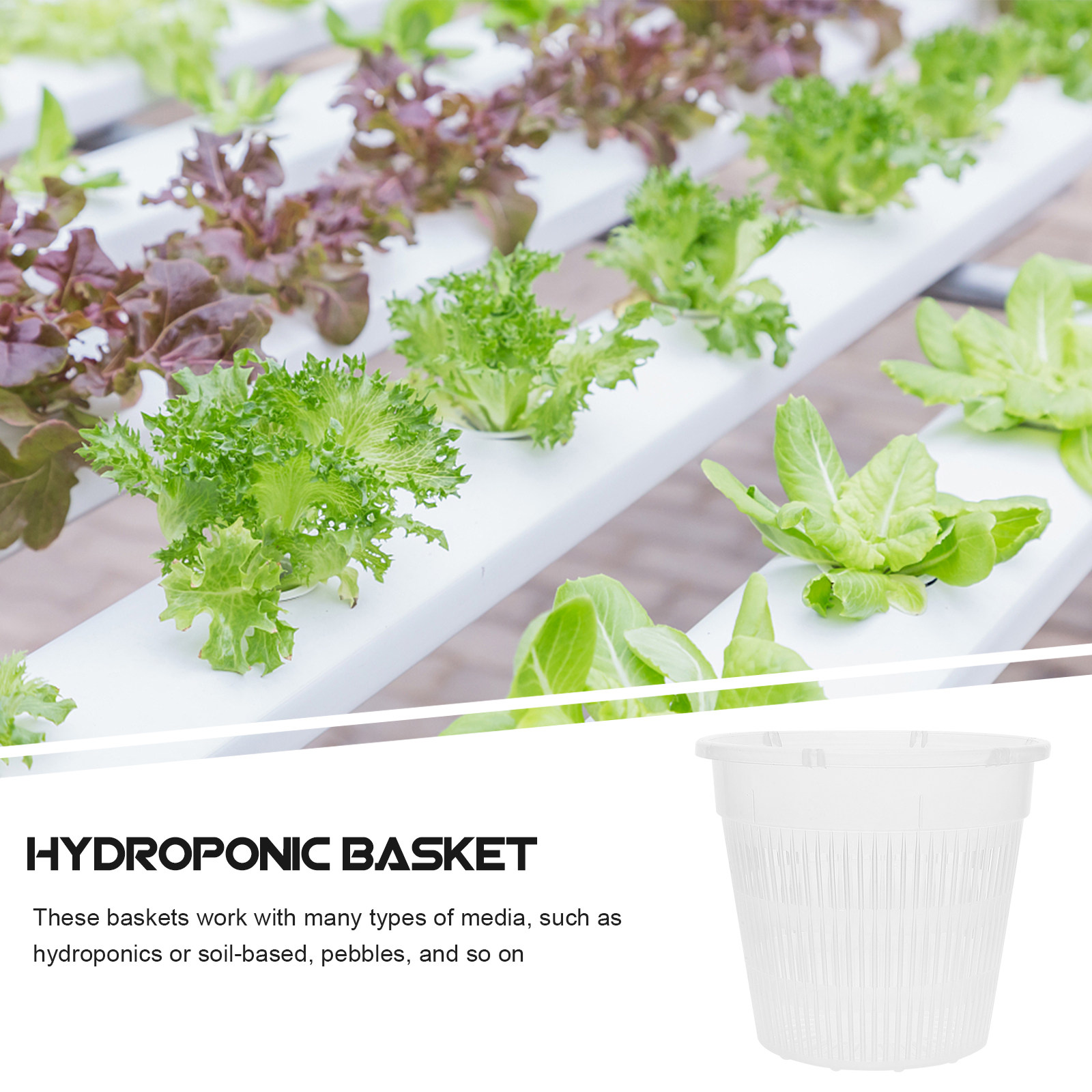 5Pcs Hydroponic Planting Net P - Plant Pot 评论和价格