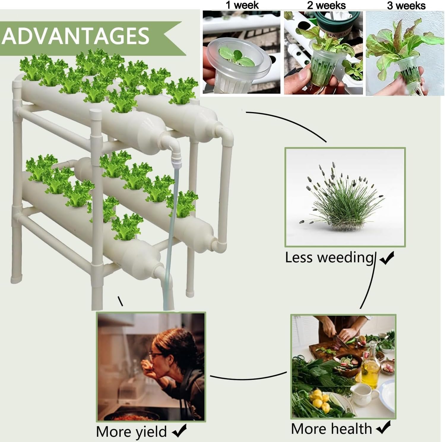 Hydroponic Growing System 20 H - Hydroponic Kit 评论和价格