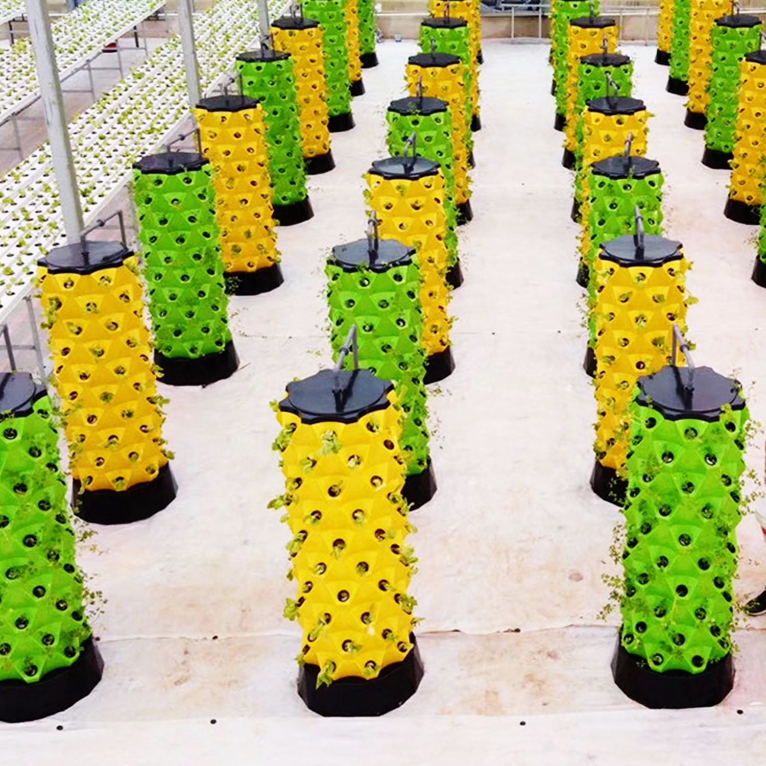 NEW Hydroponics Vertical Garde - Hydroponic Kit 评论和价格