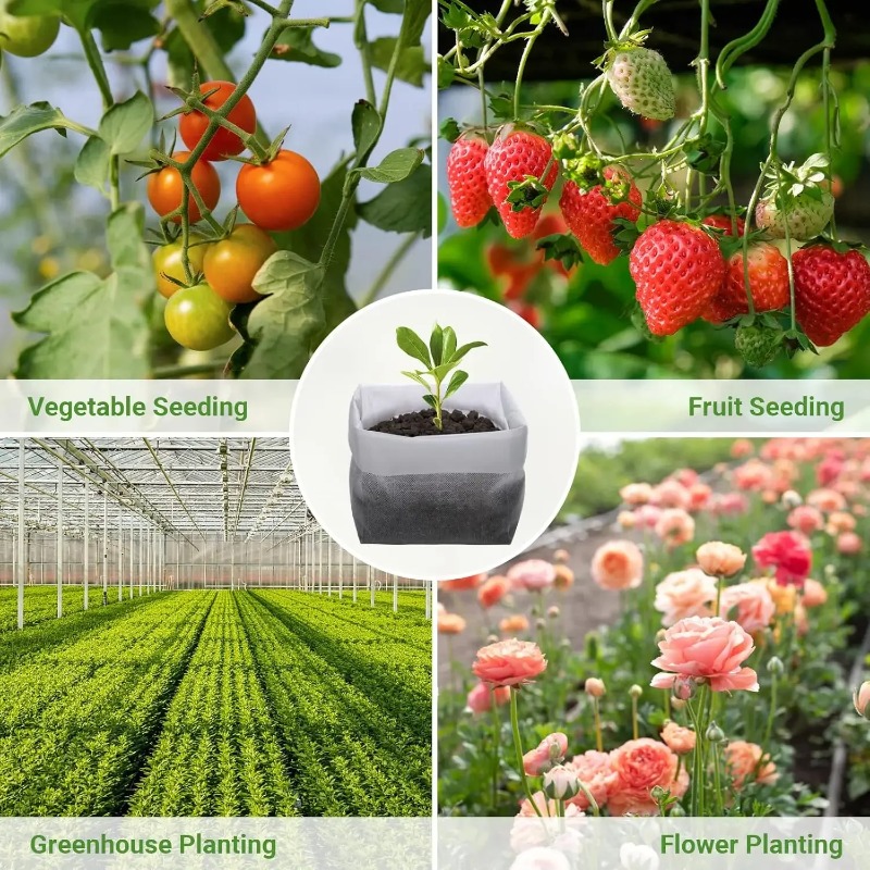Water Permeable Breathable Non - Grow Bag 评论和价格