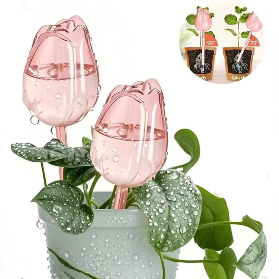 Transparent Thick PET Tulip Sh - Self Watering Planter 评论和价格